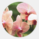 Zoek naar bloem hoofd stickers Dag