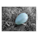 Recherche de merle bleu cartes postales Nature