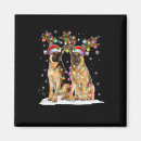Recherche de malinois magnets Noël