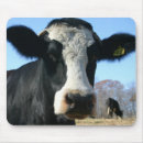 Recherche de vaches drôles tapis souris Anniversaire