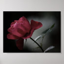 Zoek naar liefdes kunst Rood