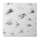 Recherche de hirondelle carreaux Faune