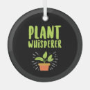 Recherche de plante ornements Floral
