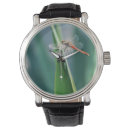 Recherche de libellule montres Nature