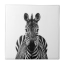 Recherche de zèbre noir et blanc carreaux Animaux