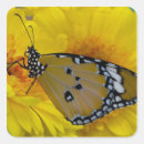 Recherche de insecte coloré autocollants Orange
