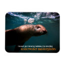 Recherche de bulles magnets Pour tous