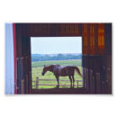 Recherche de sillhouete posters Ferme