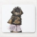 Recherche de tutu tapis souris Animal