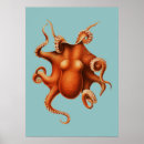 Recherche de poulpe vintage posters Rétro