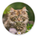 Recherche de petit boutons et poignées de porte Animal