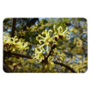 Recherche de sorcière magnets Floral