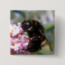 Zoek naar bezige bijen accessoires Hommel