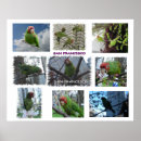 Recherche de masque rouge posters Pour tous