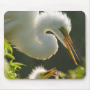 Recherche de augustine tapis souris Saint augustin
