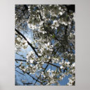 Zoek naar lente equinox posters Bloem