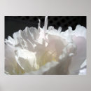 Recherche de suspendu posters Blanc