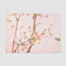 Recherche de cherry blossom tissue paper Fleurs de cerisiers