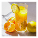 Recherche de fruit orange posters Photographie