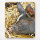 Recherche de agriculture tapis souris Animaux de ferme