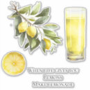 Recherche de lemonade autocollants Citron