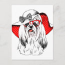 Zoek naar grappige yorkie briefkaarten Puppy