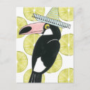 Recherche de toucan cartes postales Oiseau