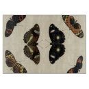 Recherche de insecte planches à découper Papillons