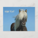 Recherche de ciel bleu cartes postales Animal