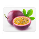 Recherche de passion magnets Exotique