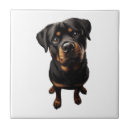 Zoek naar rottweiler tegels Honden