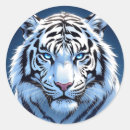 Recherche de tigre blanc autocollants Yeux bleus