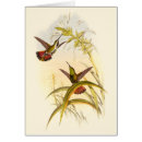 Recherche de colibri coloré cartes postales Fleur