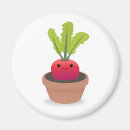 Recherche de radis magnets Légume
