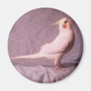 Zoek naar kakkerlakken magneten Vogel