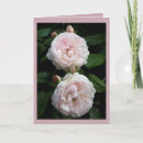 Recherche de redoute vœux cartes Fleur