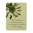 Recherche de vert de chaux magnets Motivation