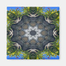 Zoek naar ster magneten Abstract