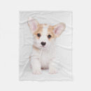 Zoek naar pembroke corgi dekens Canine