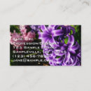 Recherche de pourpre et bleu photographie Floral