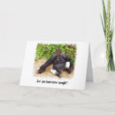 Zoek naar grappige gorilla kaarten Humor