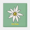 Recherche de edelweiss magnets Fleur