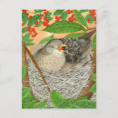 Zoek naar zwarte vogels briefkaarten Waterverf
