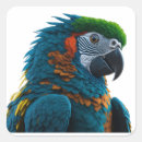 Recherche de perroquet coloré autocollants Macaw
