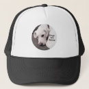 Recherche de chiots photographie Pour lui