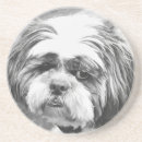 Zoek naar shih tzu onderzetters Dieren