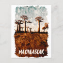 Recherche de baobab cartes postales Madagascar
