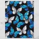 Recherche de en couleur prospectus Papillon