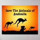 Recherche de kangourou australie posters Animaux