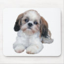 Recherche de tzu shih tapis souris Shitzu